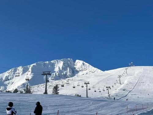 Dedo Pene Inn Hotel in Bansko