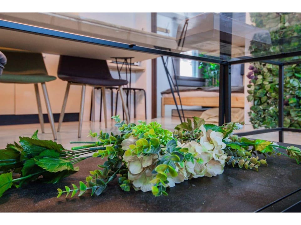 CLASSE CINQ Hotel in Sapporo