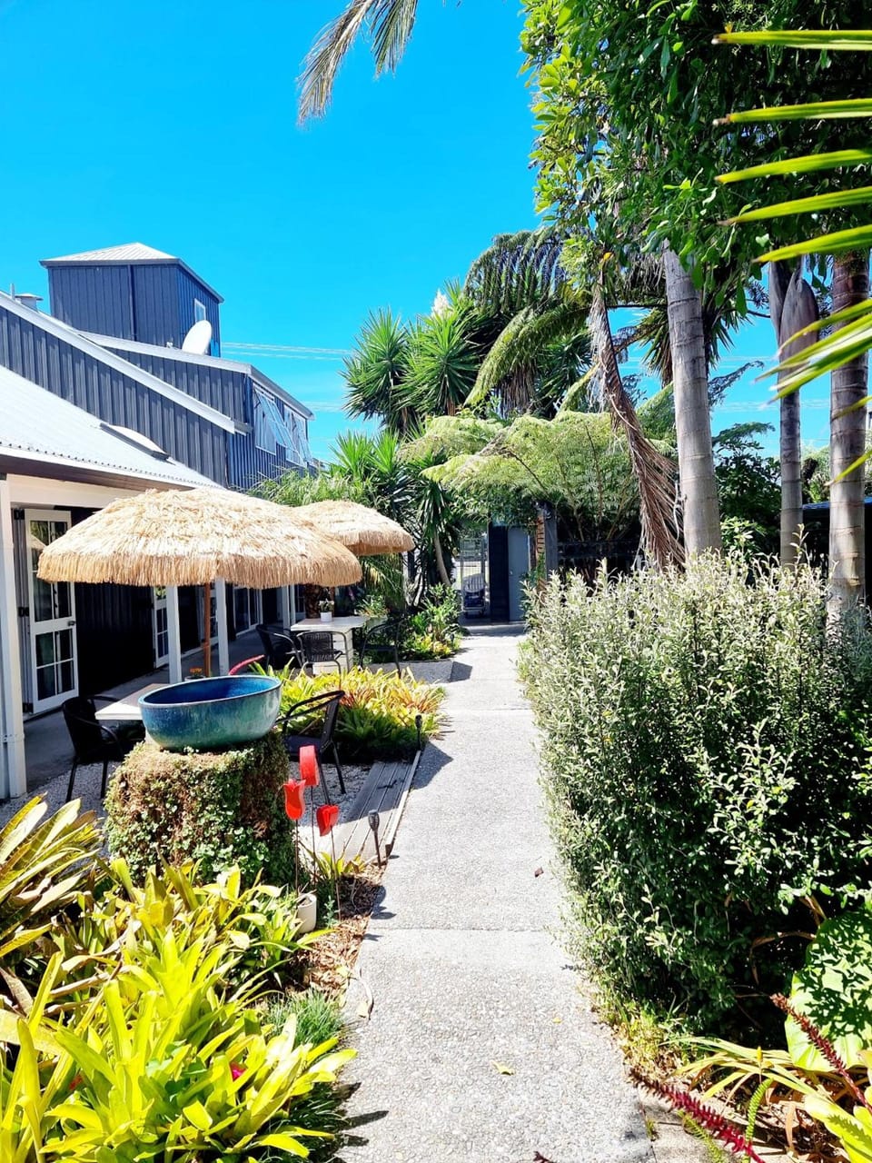 Southpacific Motel Motel in Whangamatā