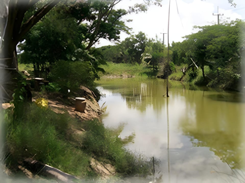 Surrounding environment