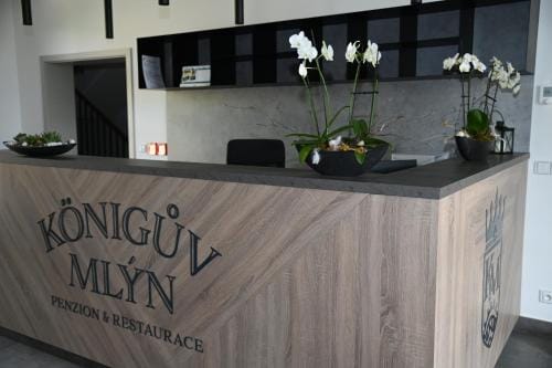 Penzion Koniguv mlyn Hotel in Erzgebirgskreis