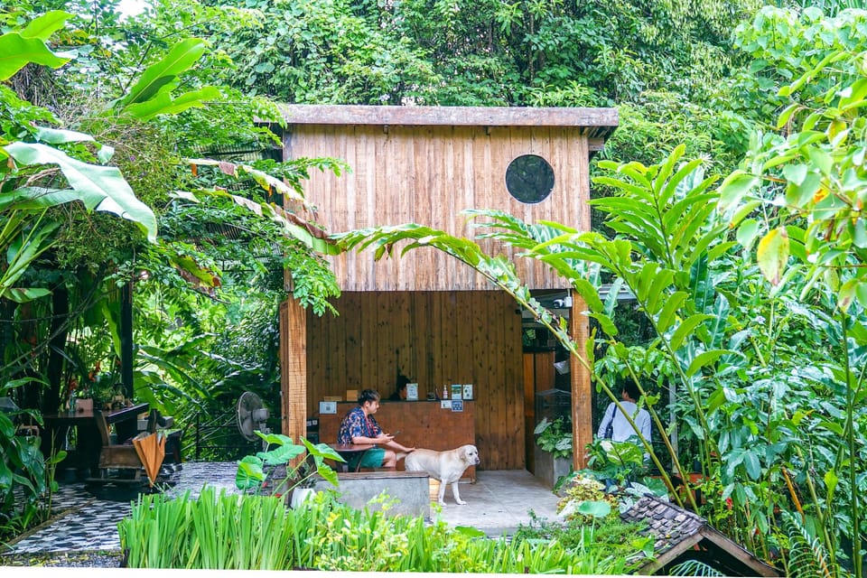 Bannaimong Treehouse Resort in Surat Thani Changwat