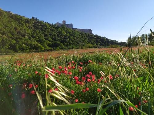 Camere le cascatelle Hotel in Umbria
