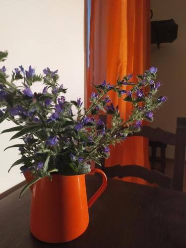 Camere le cascatelle Hotel in Umbria