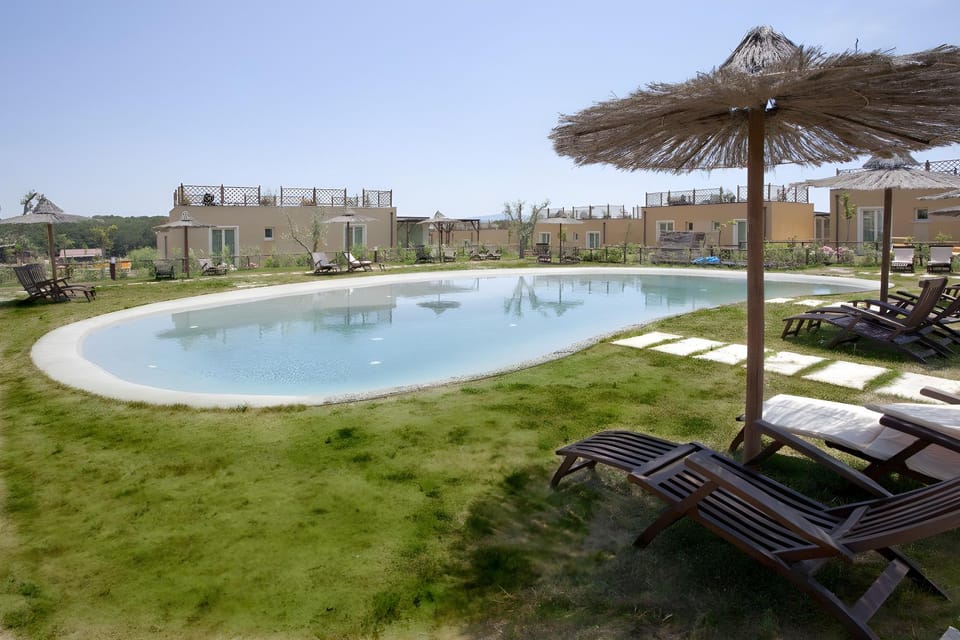 Swimming pool [outdoor]