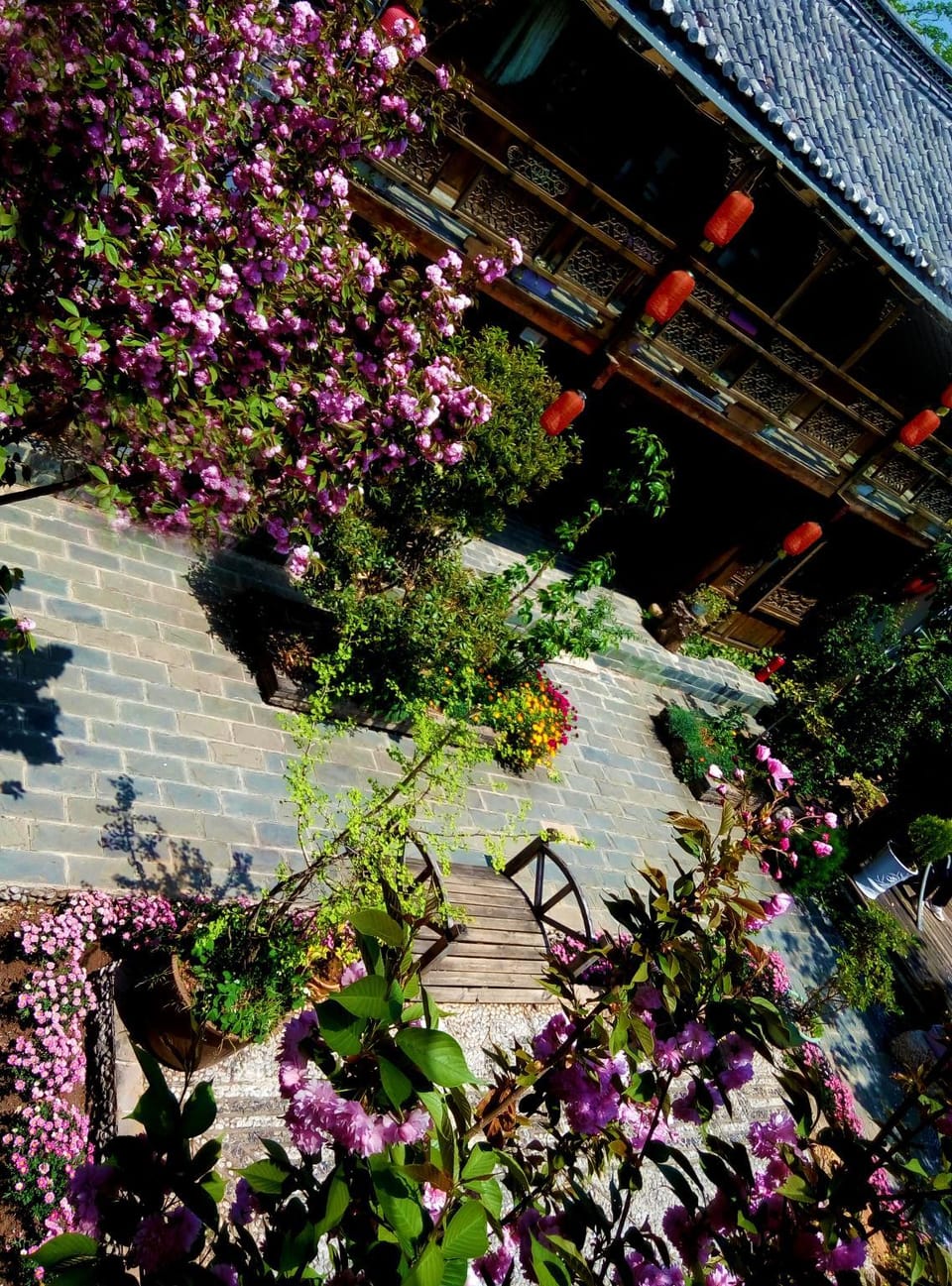 Lijiang Baisha Holiday Resort Resort in China