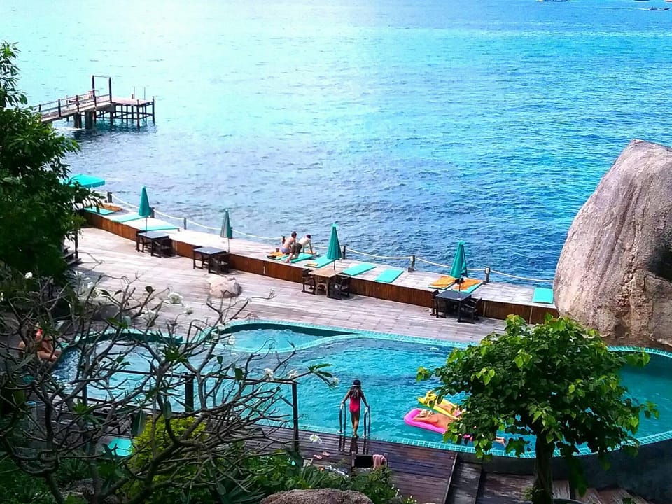 Swimming pool [outdoor]