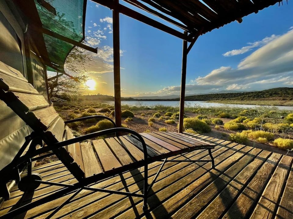 Buffelsdrift Game Lodge and Hotel Lodge in Western Cape
