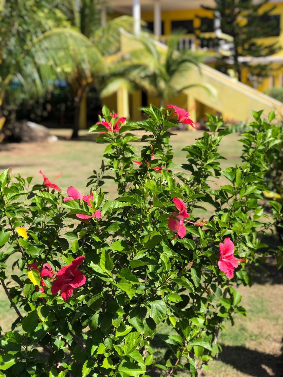 Sunshine Hotel Hotel in South Caribbean Coast Autonomous Region