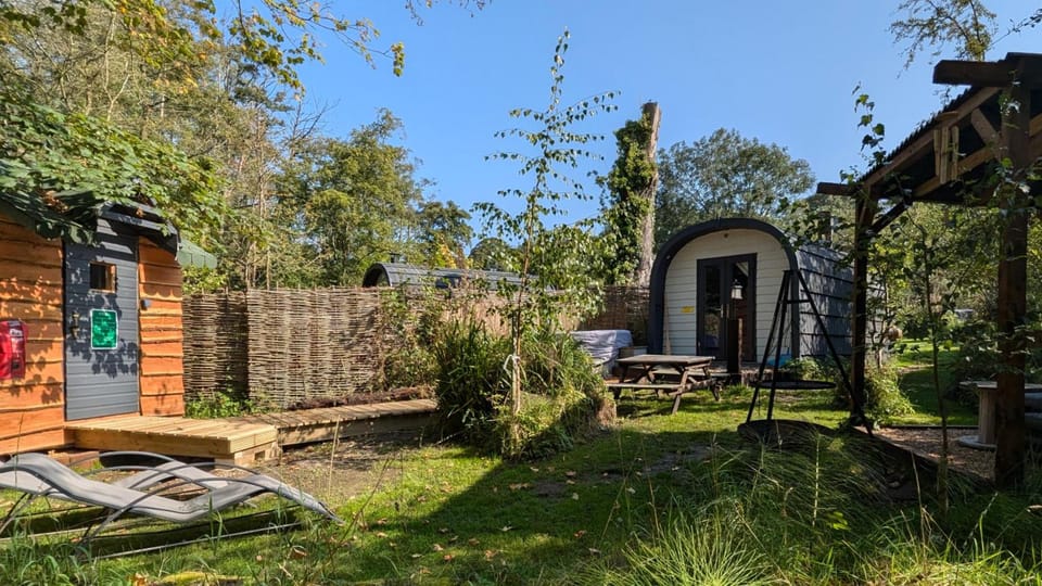 Emlyn's Coppice - Luxury Woodland Glamping Lodge in Llanasa