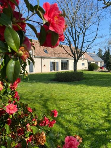 Au Ginkgo Hotel in Centre-Val de Loire