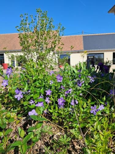 Au Ginkgo Hotel in Centre-Val de Loire