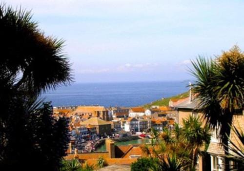 organic panda Hotel in Saint Ives