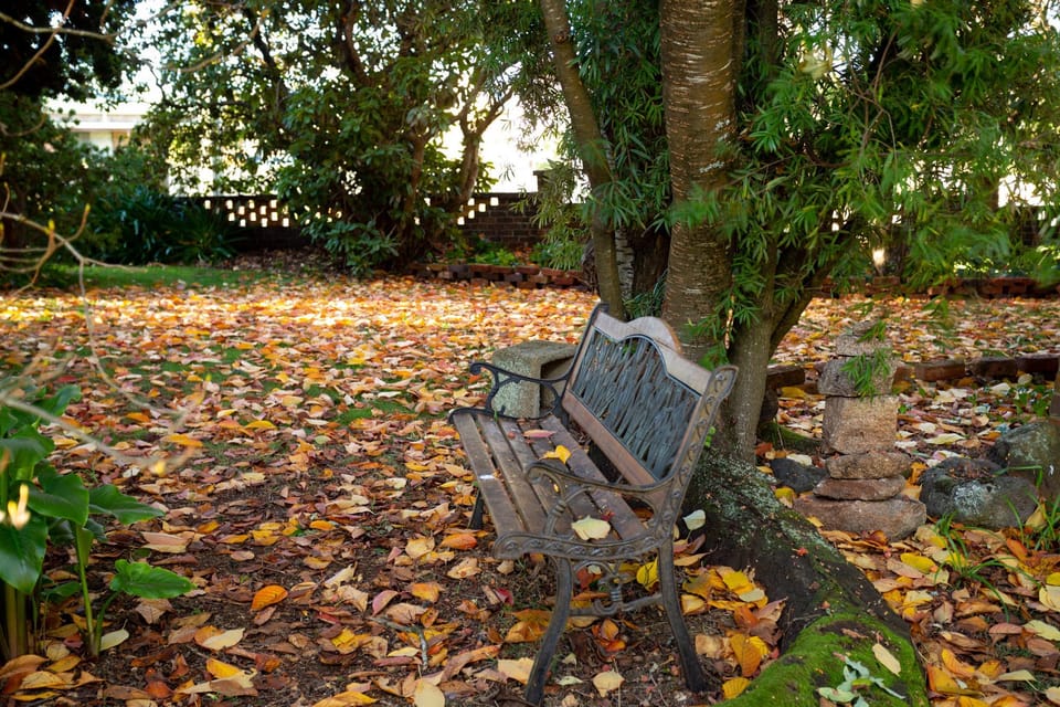 Anabel's of Scottsdale Accommodation Motel in Tasmania