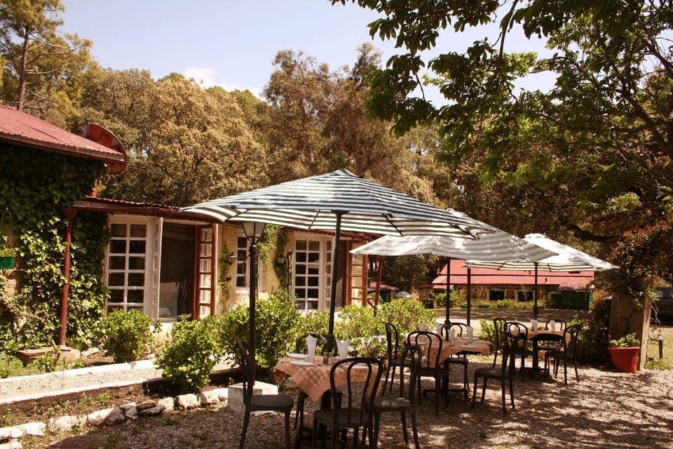 Coffee shop