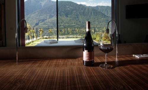 Nebbiolo Wine B&B Hotel in Canton of Grisons