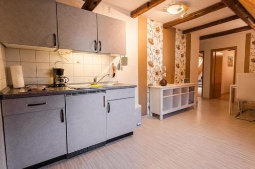 Apartments "Vier Napoleonslinden" Hotel in Thuringia, Germany