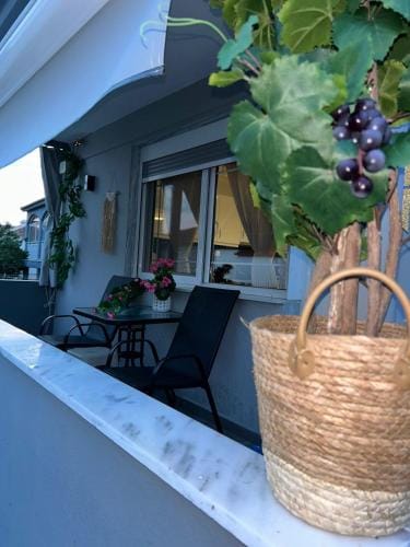 Amaya Pine Rooms Hotel in Decentralized Administration of Macedonia and Thrace