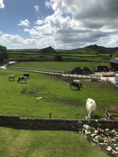 Fernydale Farm Bed & Breakfast Hotel in High Peak District