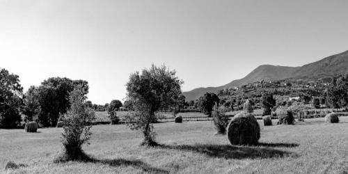 B&B Vico Suites Hotel in Abruzzo