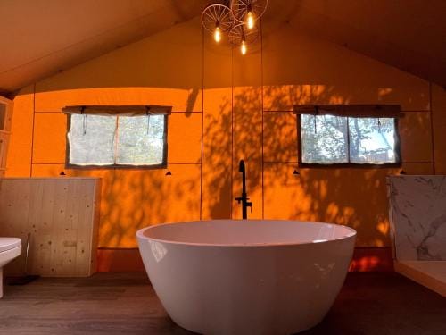 Aladdin Safari Tent Luxury tent in Saint Florence