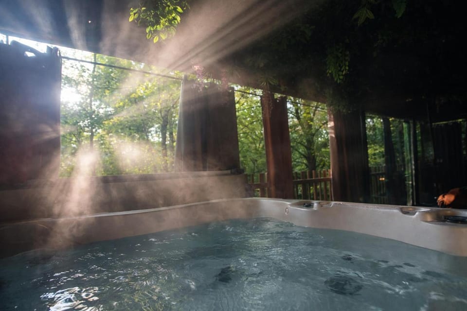 La Cabane Enchanteresse Lodge in Vosges