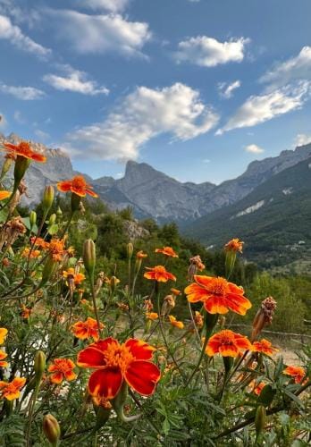 Guest House Astrit Villi Hotel in Montenegro
