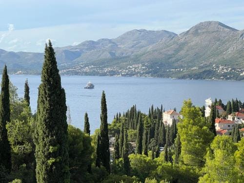 Blue Room and Private Bathroom Hotel in Cavtat