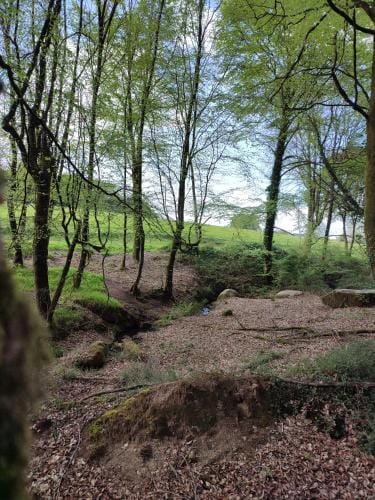 Le Domaine des Roches' L Lodge in Brittany