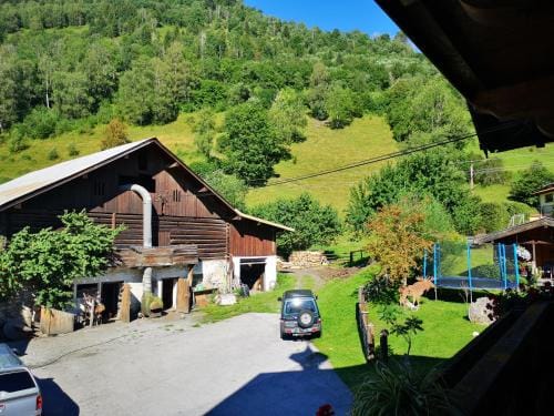 Pension Schlager Taxerhof Hotel in Bad Hofgastein