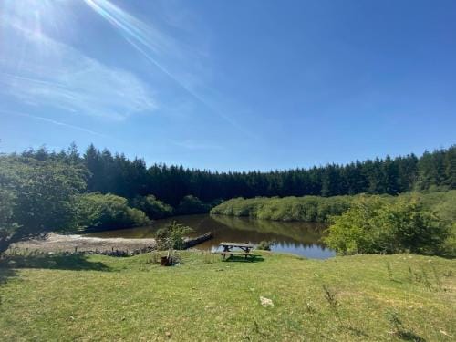 Lakeside Eco Pod Lodge in Wales