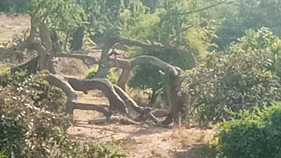 Surrounding environment