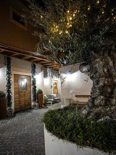 Dri bed & breakfast Hotel in Lazio