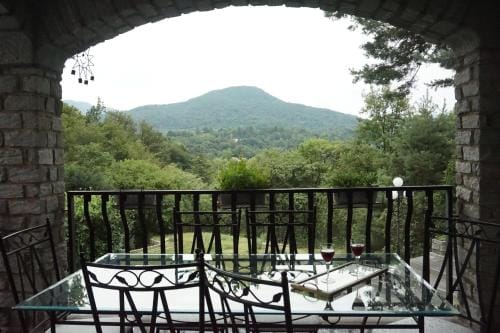 Al Picchio Verde A.P.S. Hotel in Canton of Ticino