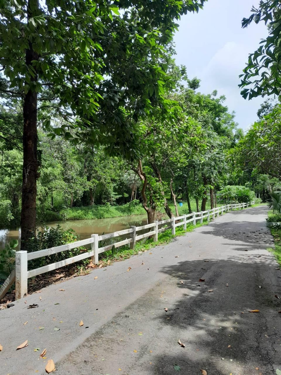 The Garden Resort Resort in Laos