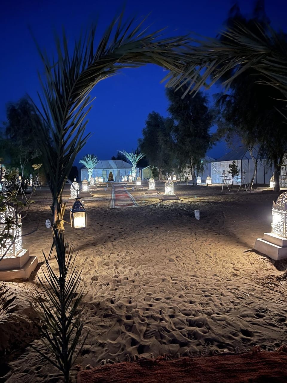 Merzouga Experience Camp Hotel in Morocco