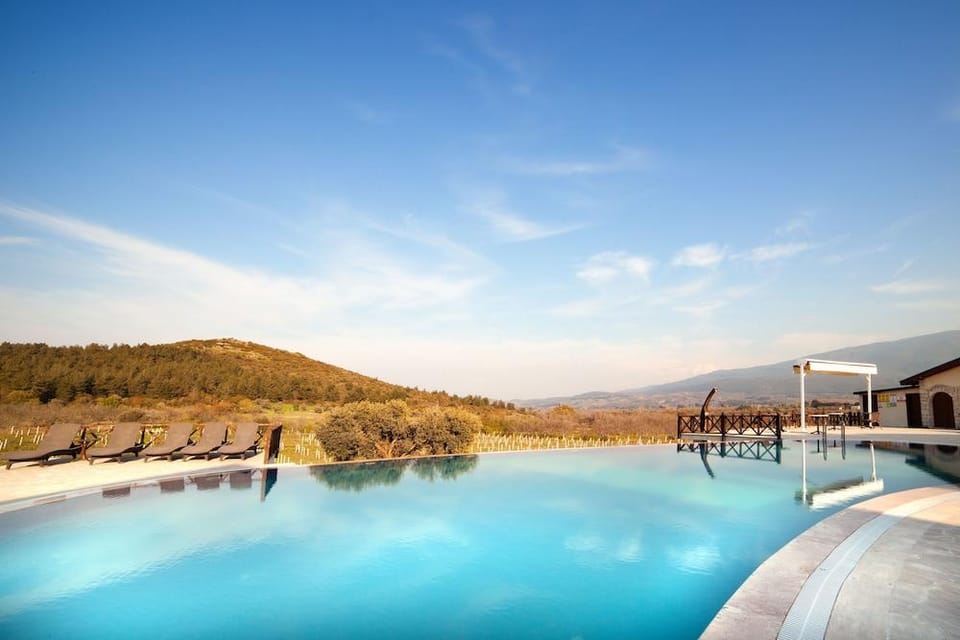 Vinifera Vineyards Hotel Hotel in Aydın Province