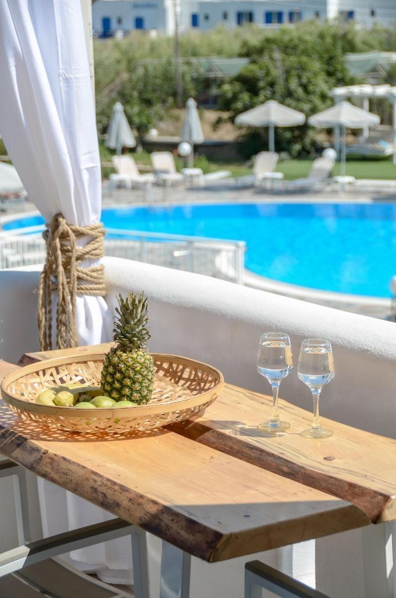 Naxos Nature Suites Hotel in Agios Prokopios