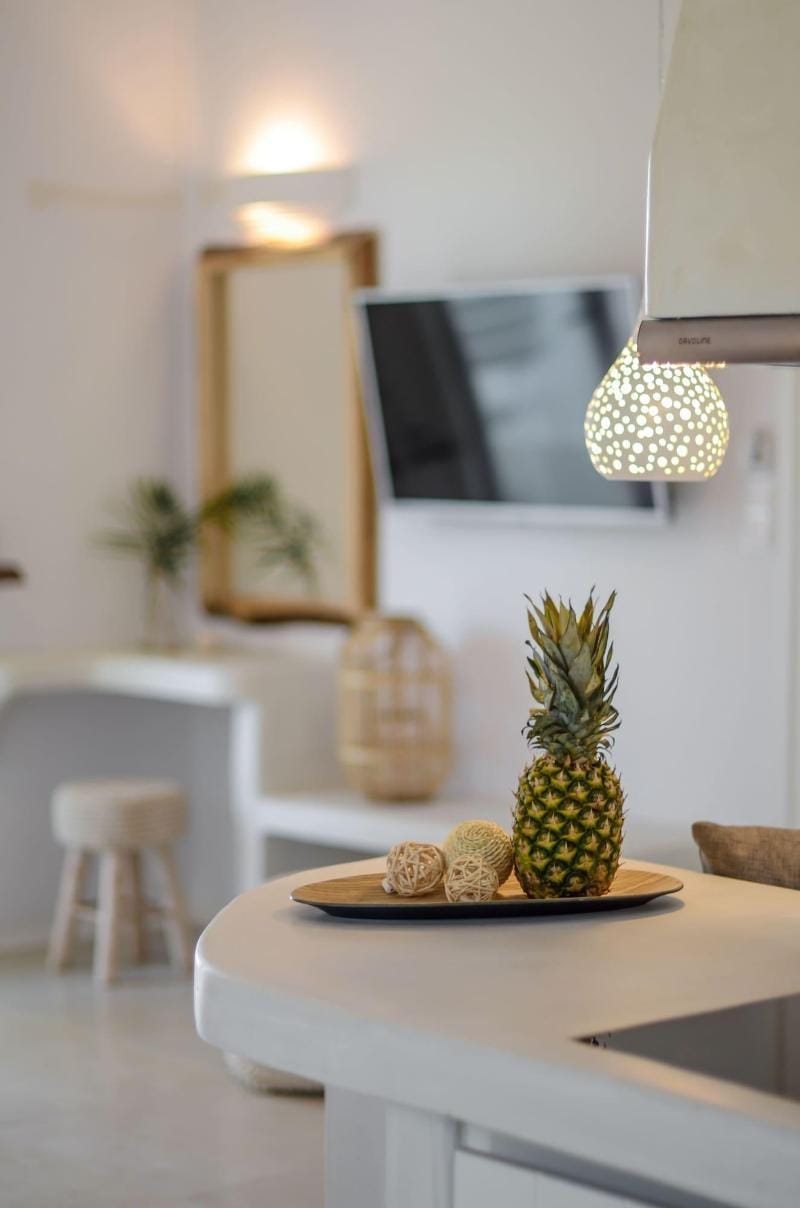 Naxos Nature Suites Hotel in Agios Prokopios