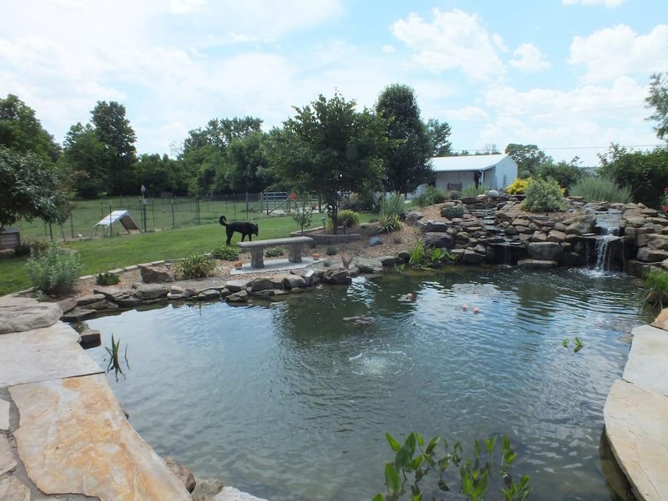 Montrose Farms Alpaca Ranch Hotel in Indiana