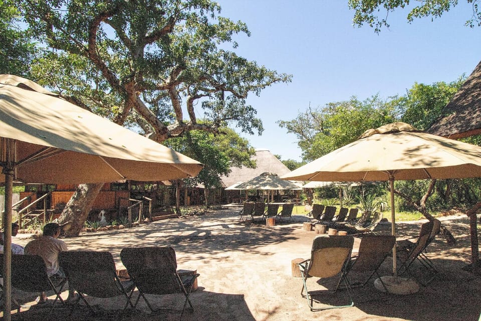 Tembe Elephant Park Hotel in KwaZulu-Natal