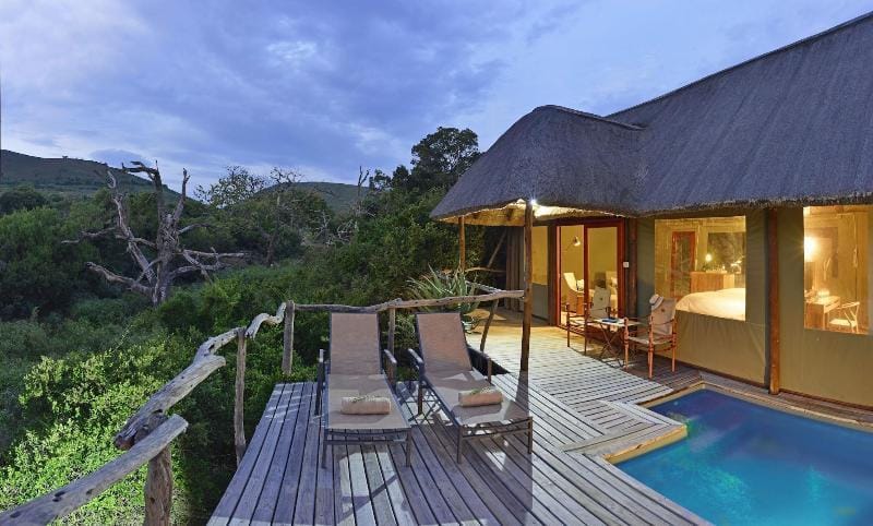 Shamwari Bayethe Hotel in Eastern Cape
