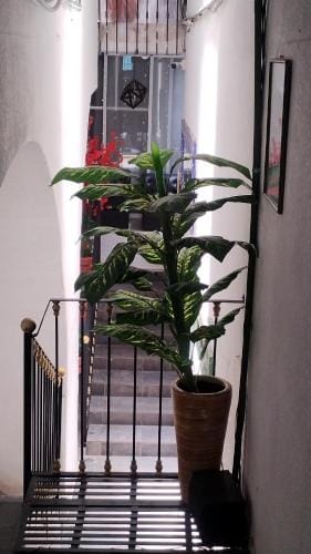 Hotel Tao Hotel in Atlixco