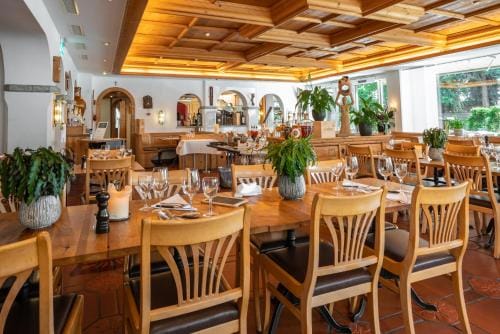 Studio im Hotel Des Alpes Hotel in Canton of Grisons