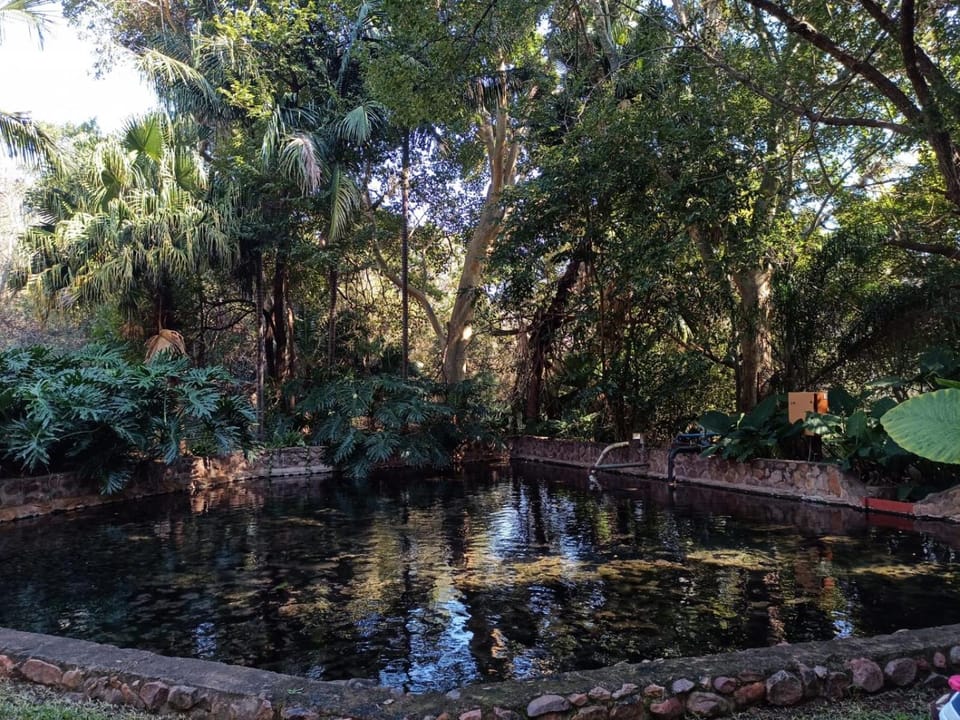 Northwich Game Ranch Hotel in South Africa
