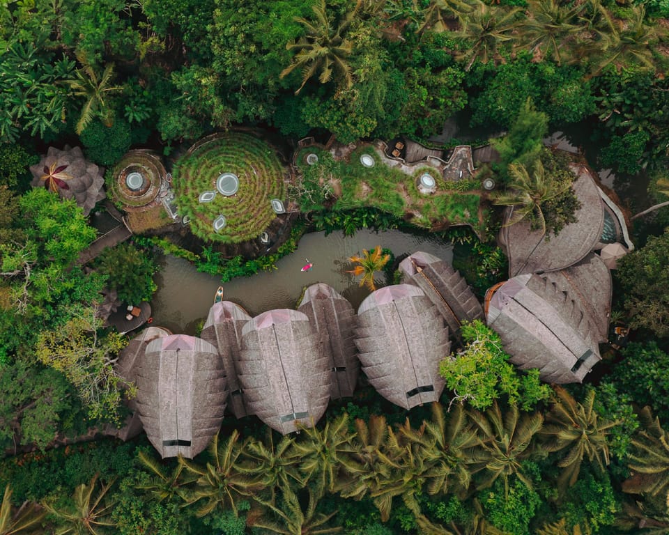 Surrounding environment