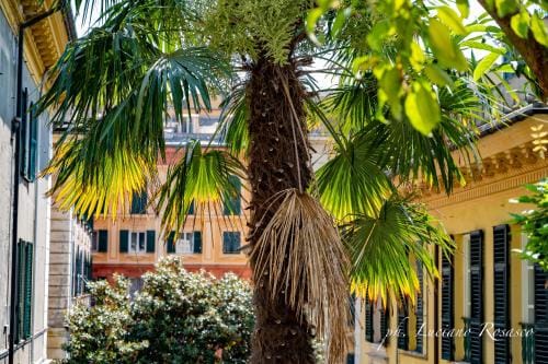 Il Giardino della Tartaruga Hotel in Genoa