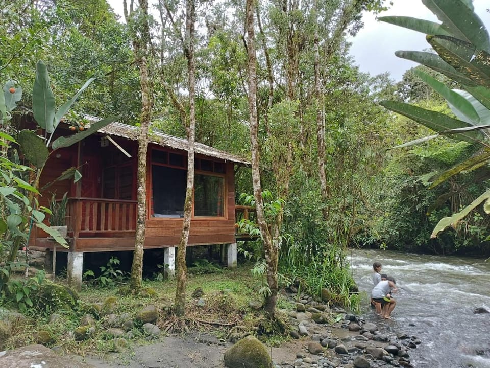 River Song's Hotel Hotel in Pichincha