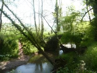 The Chase Inn Inn in Malvern Hills District