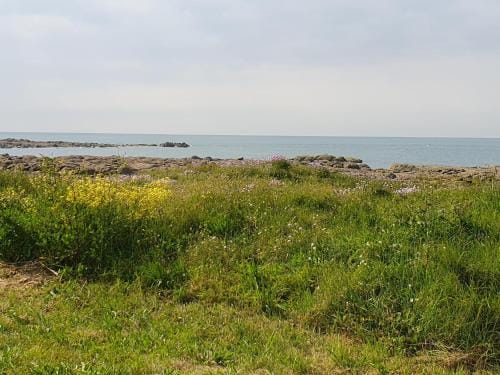 Le relais du phare Hotel in Normandy